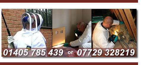 Pest-Kill Direct Doncaster