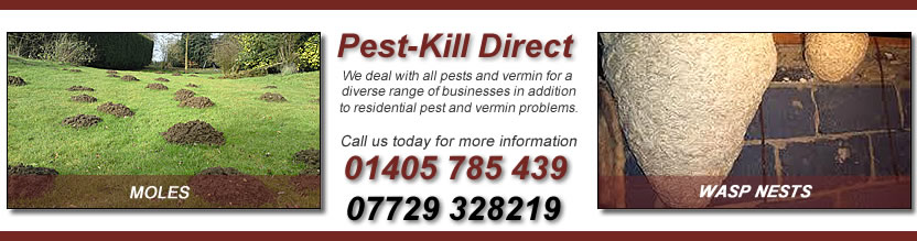 Pest-Kill Direct Doncaster